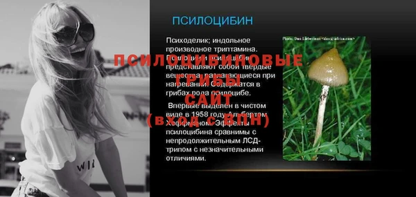 spice Аркадак