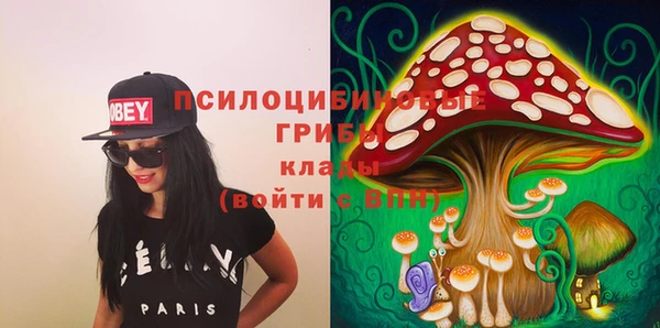 герыч Лагань
